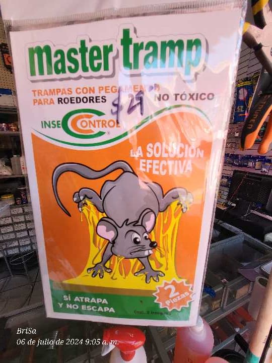 Trampa Raton